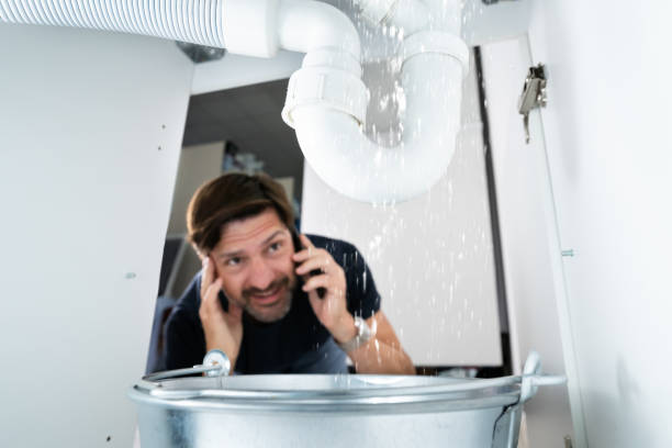 Best Water Softener Installation  in Lely Resort, FL