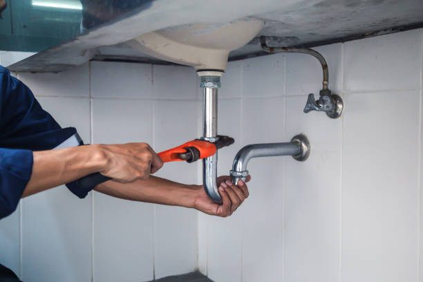 Best Plumbing Inspection Services  in Lely Resort, FL
