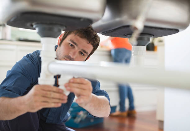 Best Plumbing Inspection Services  in Lely Resort, FL