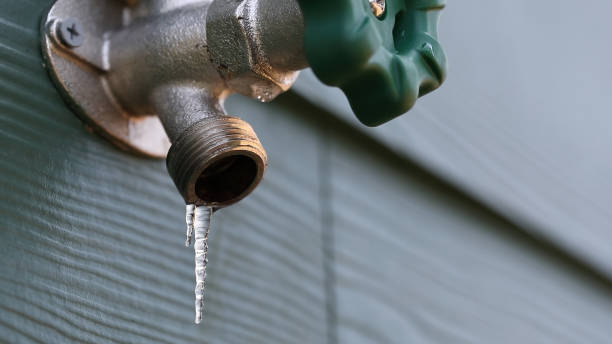 Best Water Leak Repair  in Lely Resort, FL