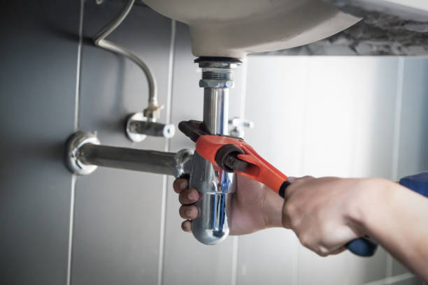 Best Residential Plumbing Services  in Lely Resort, FL