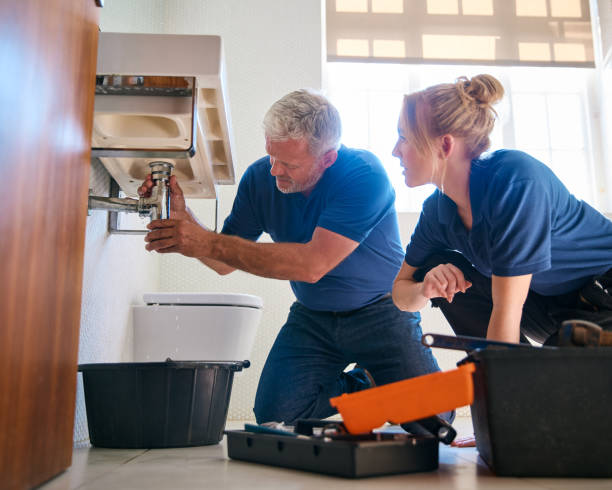 Best Commercial Plumbing Services  in Lely Resort, FL